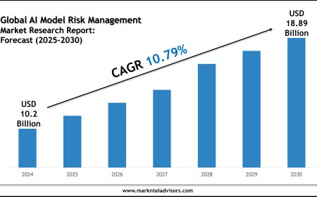 What Is the Market Size of Global AI Model Risk Management Market? Forecast & Trends 2025–2030