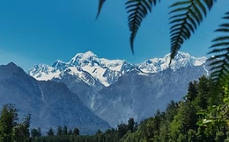 Simple Steps to Extend Your Visitor Visa in New Zealand