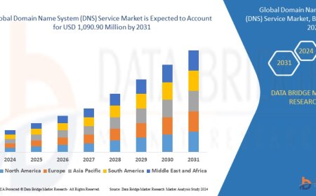 DNS Service Market Accelerates Amid Rising Demand for Reliable and Secure Internet Access