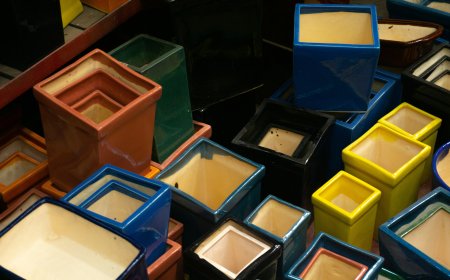 Best Uses for Individual Cupcake Boxes in Gifting