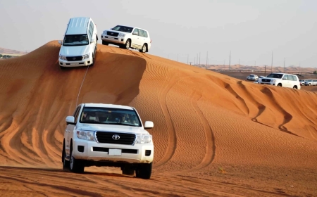 Explore Dubai's Top Desert Adventure Experiences