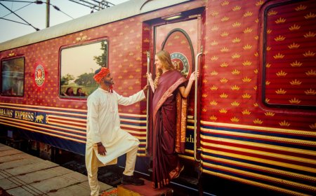 India Train Tours Packages: Wildlife Safaris on Tracks