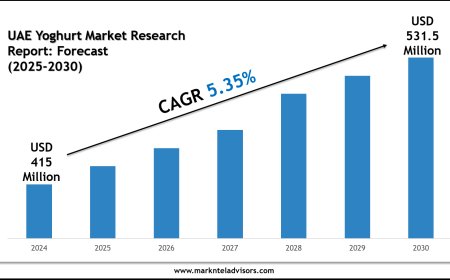 UAE Yoghurt Market Trends 2025–2030: Research Report Overview