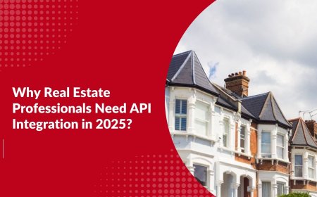 Why Real Estate Professionals Need API Integration in 2025?