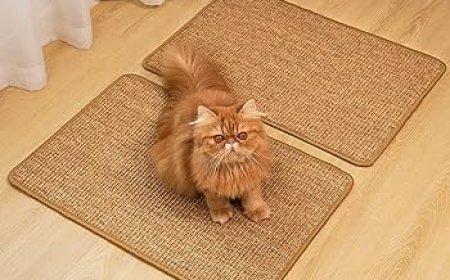 The Essential Role of a Cat Scratcher in Every American Home