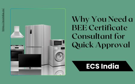 Why You Need a BEE Certificate Consultant for Quick Approval