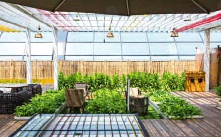 How to Choose the Best Patio Covers for Style, Comfort, and Durability