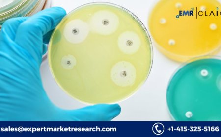 Antimicrobial Therapeutics Market: Demand Forecast and Future Outlook (2034)