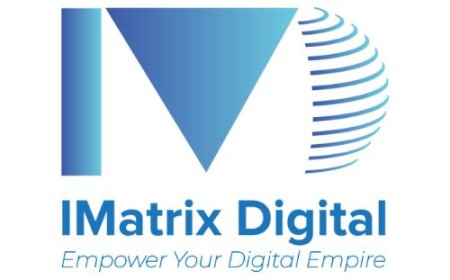 Can SEO marketing services in Singapore help startups grow?