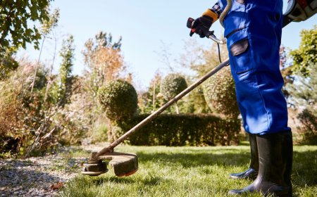 Affordable Backyard Cleaning Services by Care n Clean