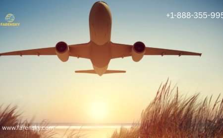 How Do I Contact to A Real Person on Expedia? Get Ideas Inside!