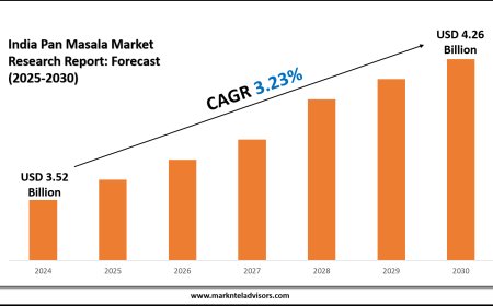 India Pan Masala Market Demand and Strategic Forecast (2025–2030)