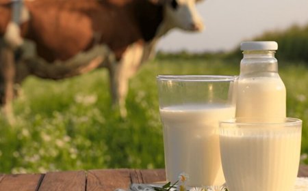 White Revolution 2.0