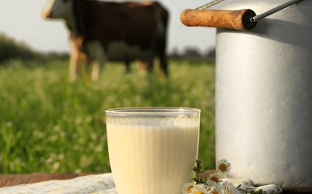 Milk Revolution In India