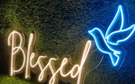 Neon Lights: The Bright Choice for Modern Decor and Signage