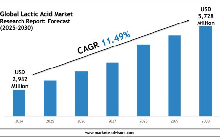 Lactic Acid Industry Growth to 2030: Market Insights from Cargill and Kemin Industries