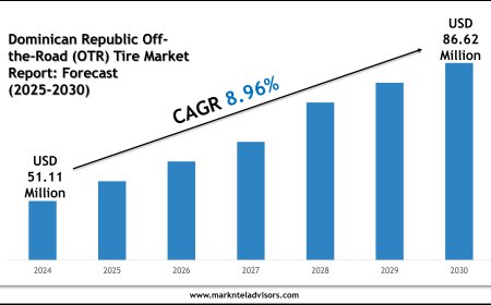 Future of Dominican Republic Off-the-Road (OTR) Tire Market: Size, Growth & Key Players like Bridgestone Corp., Michelin