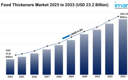 Food Thickeners Market Size, Growth, and Trends Forecast 2025-2033