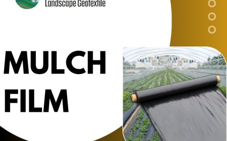 Mulch Film: Farming's Unsung Hero of the Modern Age