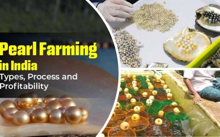 Learn How to do Pearl Farming in India