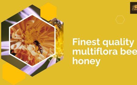7 Reasons Why You Need Finest Quality Multiflora Bee Honey at Home