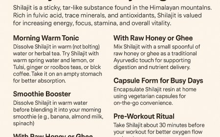 DIY: How to Incorporate Shilajit into Daily Regimens for Natural Vitality