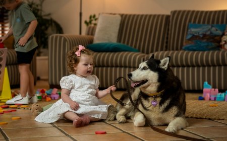 How to Foster a Child: Understanding Your Rights and Responsibilities