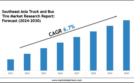 Southeast Asia Truck and Bus Tire Market Trends & Forecast: 2024–2030 Analysis on Bridgestone Corporation, Michelin