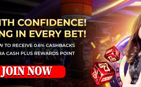 What Is a Ball by Ball ID in Cricket Data? A Beginner's Guide