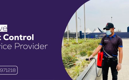 Top 8 Pest Control Service Providers in Dhaka