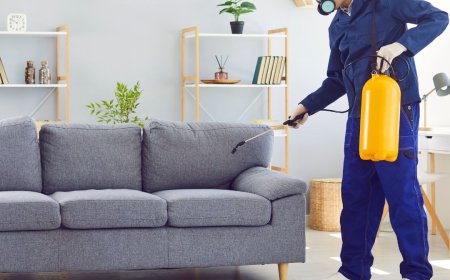 How to Effectively Use Rodent Control in San Antonio: A Homeowner’s Guide