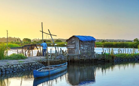 Kerala Tour Packages under 10000: Discover Bliss, Wallet-Friendly