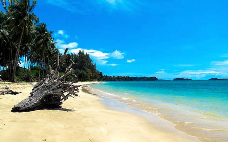 Top 10 Islands and Beaches to Explore in the Andaman Islands