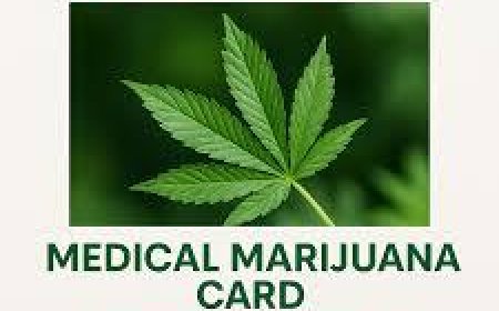 Top 5 Trusted Marijuana Dispensaries Near Me in 2025