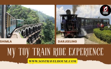 Looking to Enjoy Darjeeling on Budget? Packages Under 10000