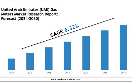 United Arab Emirates (UAE) Gas Meters Market Trends & Forecast: 2024–2030 Analysis on Elster Group (Honeywell), Badger Meter Inc.