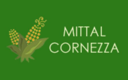 Maize Grits Manufacturers in India: Driving Food Industry Innovation