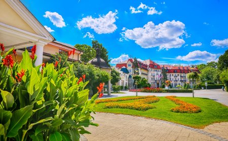 𝐖𝐡𝐲 𝐒𝐥𝐨𝐯𝐚𝐤𝐢𝐚’𝐬 𝐇𝐞𝐚𝐥𝐭𝐡 𝐚𝐧𝐝 𝐖𝐞𝐥𝐥𝐧𝐞𝐬𝐬 𝐒𝐩𝐚𝐬 𝐋𝐞𝐚𝐝 𝐢𝐧 𝐌𝐞𝐝𝐢𝐜𝐚𝐥 𝐓𝐨𝐮𝐫𝐢𝐬𝐦