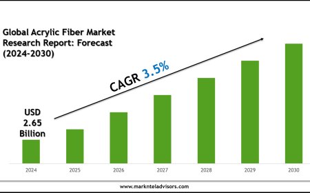 Global Acrylic Fiber Market Report 2024–2030: Outlook Featuring Polyacryl Iran Corp. & Kaltex