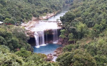 Seasonal Escapes in Meghalaya: When to Explore the Best Places by Month