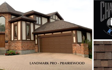 Siding Replacement in Winnipeg – A Step-by-Step Blueprint to Success