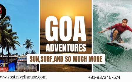 Goa Tour Package from Delhi: Experience Vibrant Nightlife