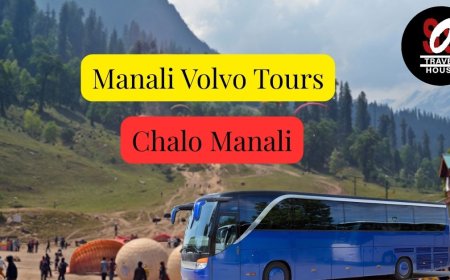 Delhi to Manali Volvo Package: Best Deals for Couples & Groups