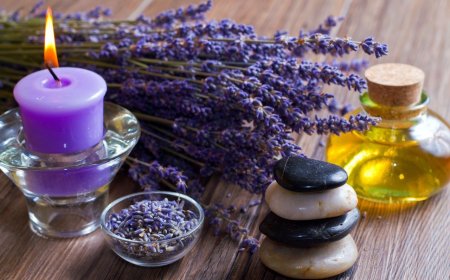 Aroma Diffuser UAE: Transforming Spaces with Wellness and Elegance