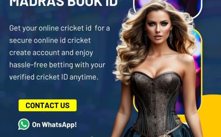 Daily Match Predictions vs Live Betting: What Works Best for You
