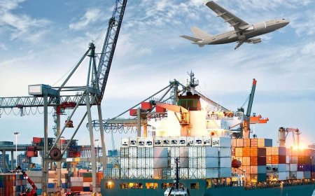 Choosing the Right Export Customs Agents for Your Logistics Needs!