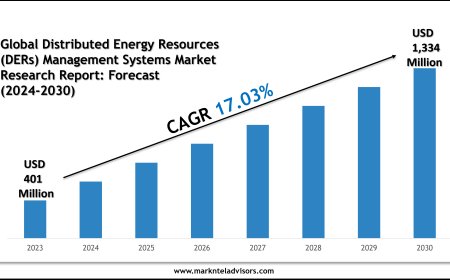 Distributed Energy Resources (DERs) Management Systems Market Report 2024–2030: Outlook Featuring EnergyHub