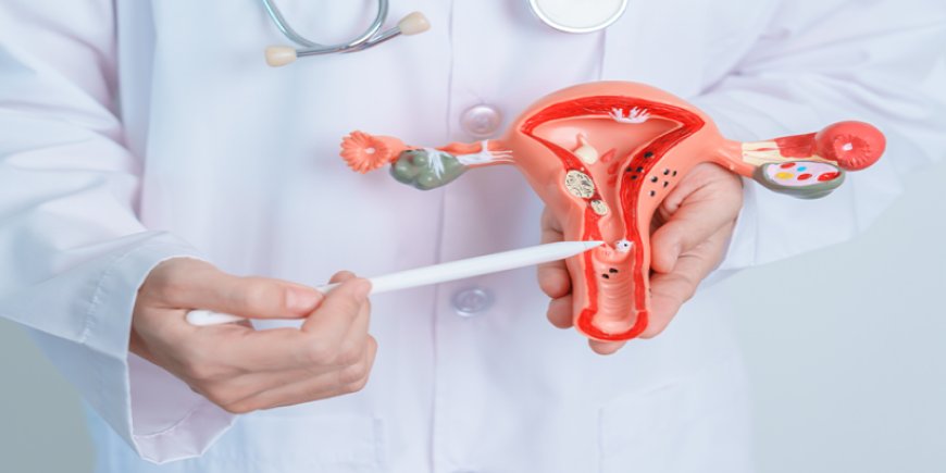 Uterine Fibroids: What Every Woman Should Know