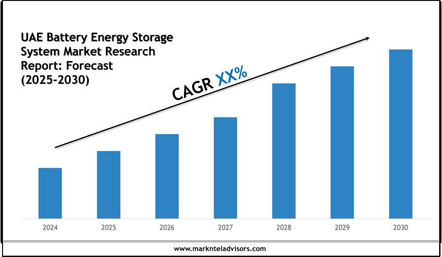 Comprehensive UAE Battery Energy Storage System Market Report 2025–2030 with Key Insights