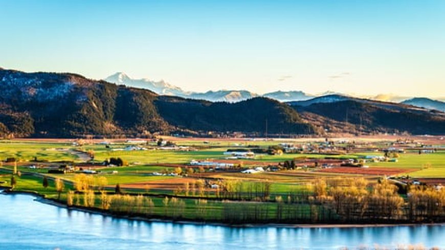 WiFi Management for Smart Cities: Powering the Urban Future